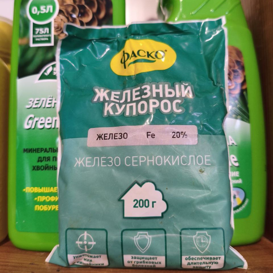 Осенний уход, необходимый в этом году 